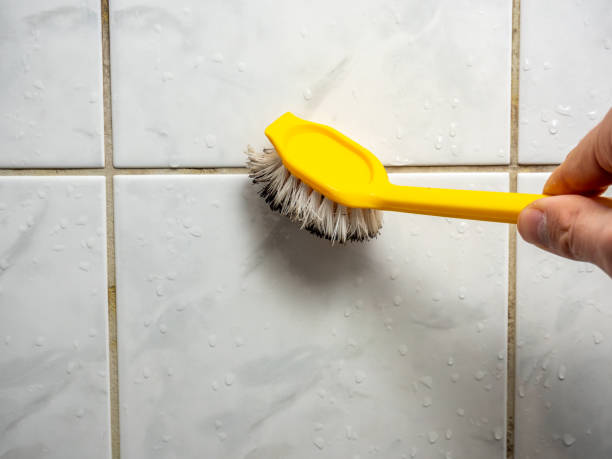 Best Affordable Mold Removal  in Uvalde, TX