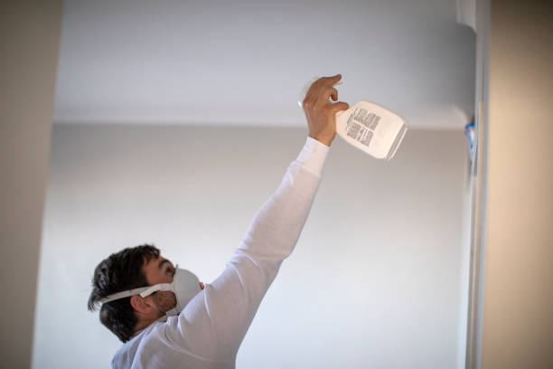 Reliable Uvalde, TX Mold Removal Solutions