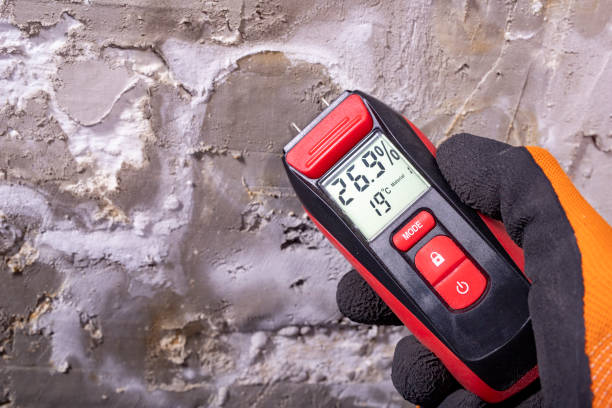 Best Mold Removal Company Near Me  in Uvalde, TX