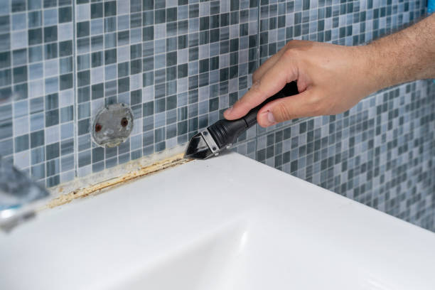 Best Black Mold Removal  in Uvalde, TX