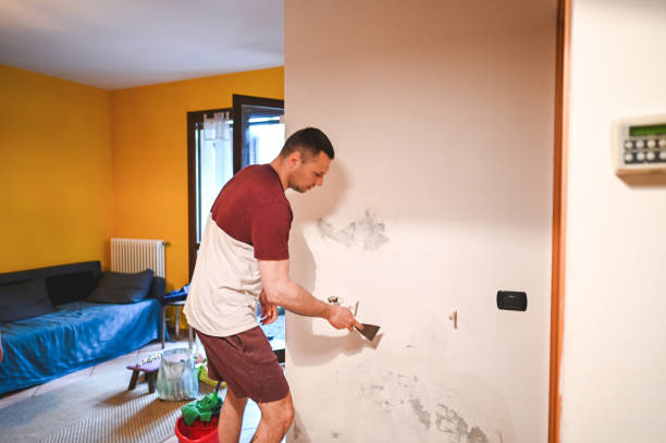 Best Home Mold Removal  in Uvalde, TX